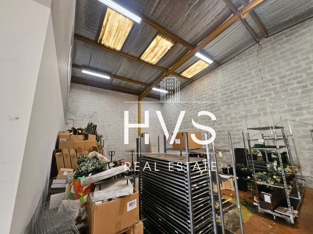 hvs