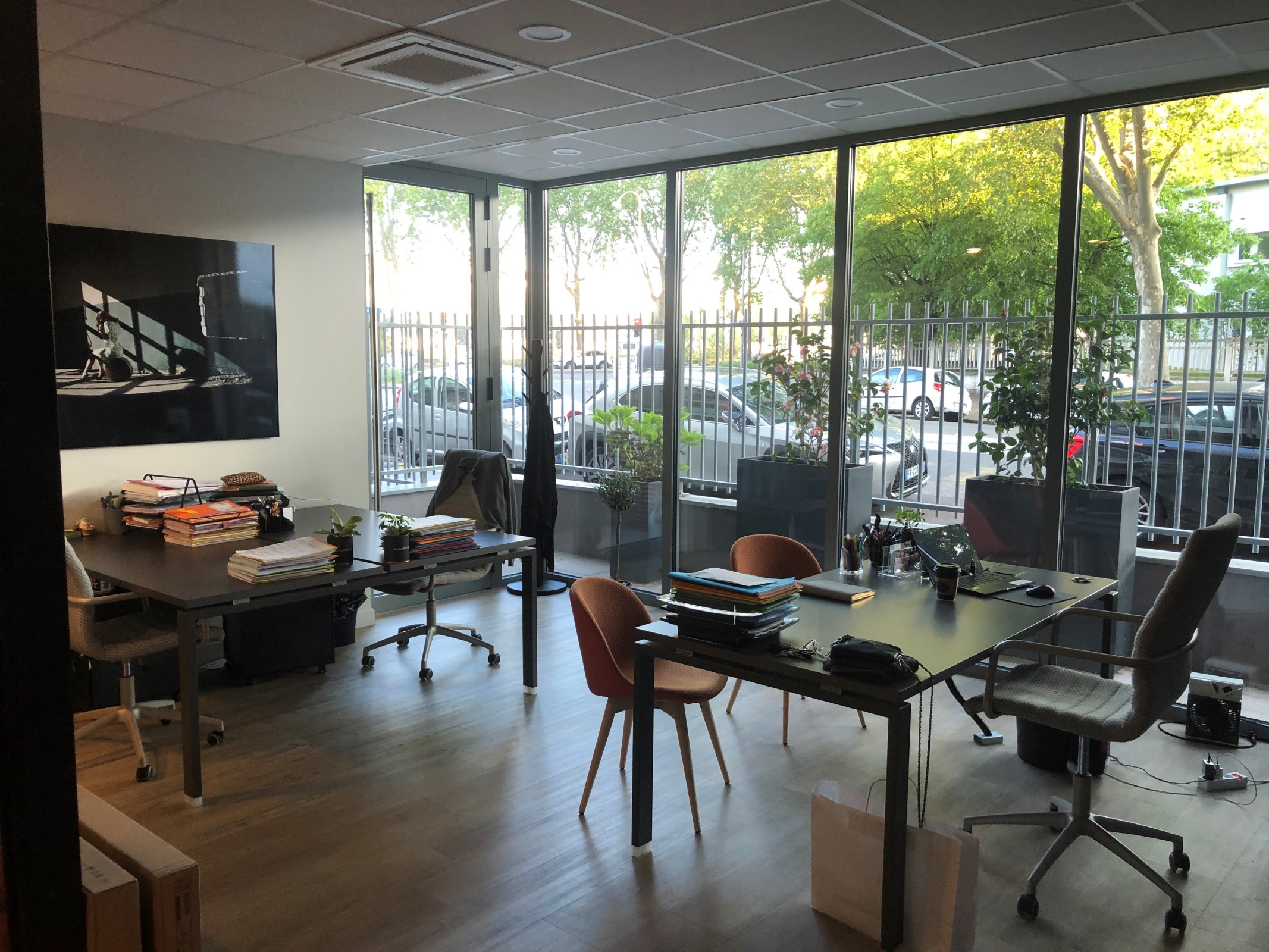 Image de l'annonce