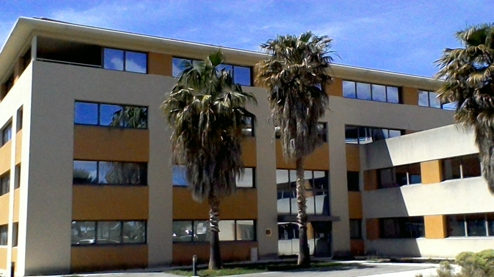 Bureaux PMR avec terrasse et parkings à vendre - LE FORUM B - ATHELIA IV - La Ciotat