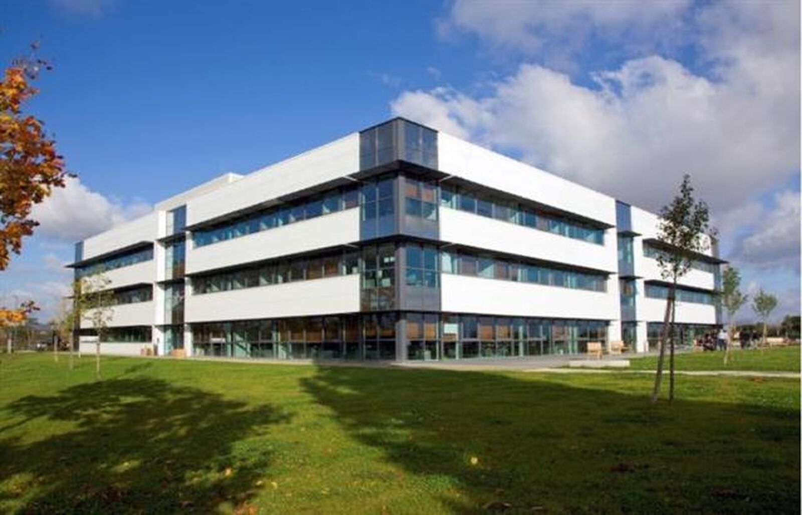 Bureaux - 31000 TOULOUSE