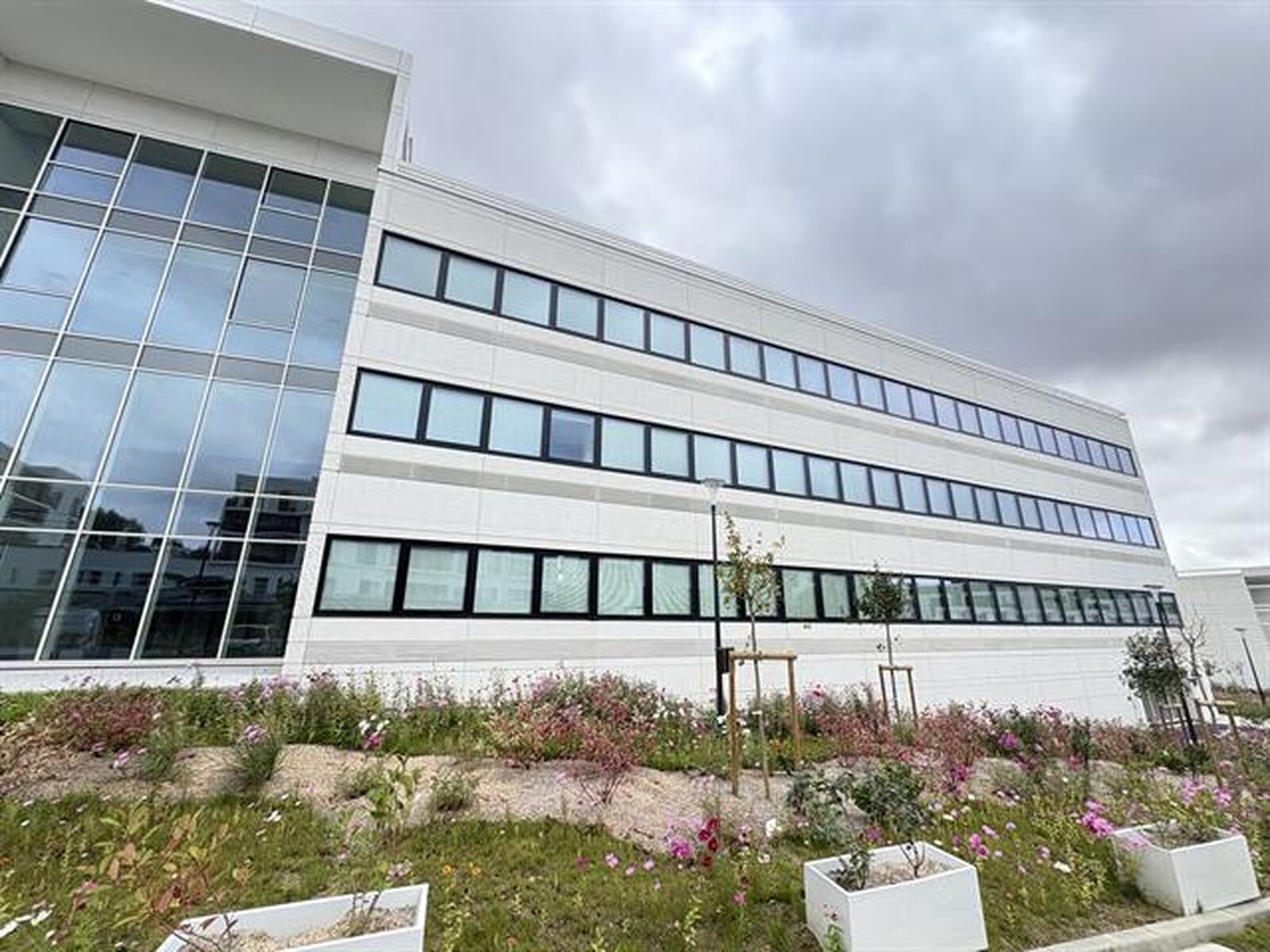 Bureaux - 31130 BALMA