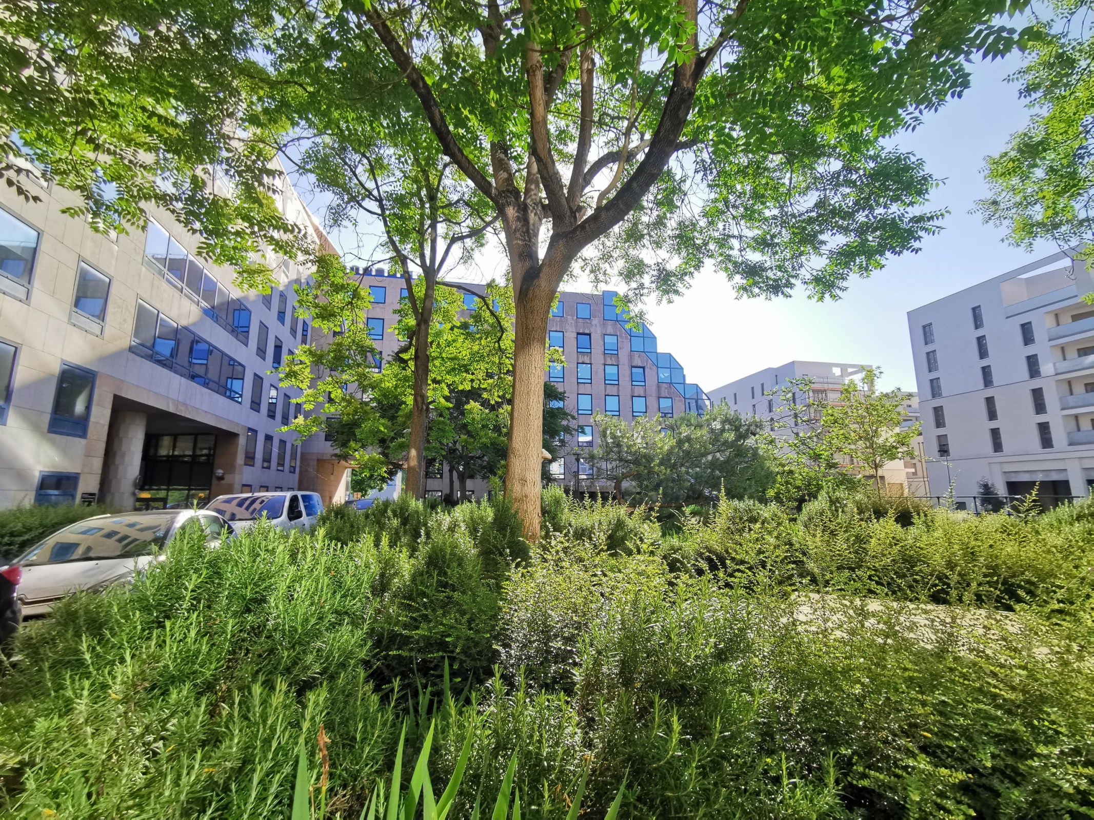 Bureaux rénovés, climatisés au pied du RER B - 