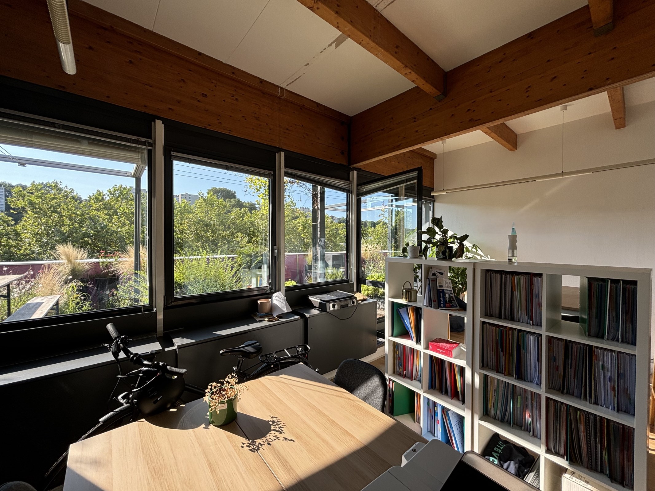 Bureaux avec terrasse filante, vue sur la Saône - 