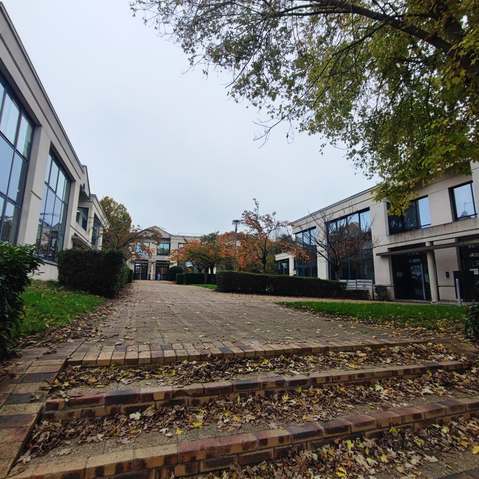 Location de bureaux à Europarc - 133 m² aménagés et cloisonnés, idéalement situés à proximité du métro et des grands axes routiers