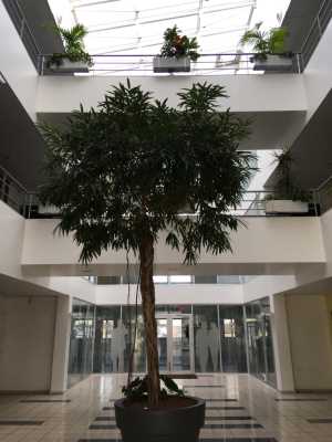 Photo du bien : à Louer Bureaux 80440 BOVES offre 806434